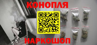 ECSTASY Новозыбков
