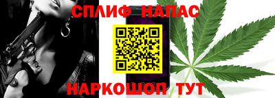 ECSTASY Новозыбков