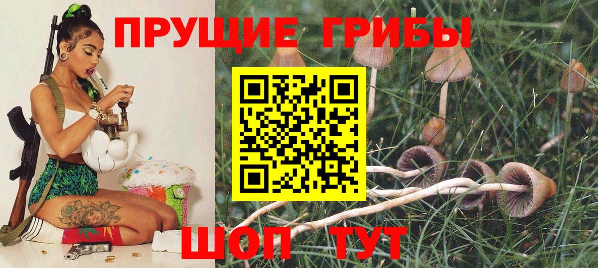 Галлюциногенные грибы Cubensis  Вход с VPN  Галлюциногенные грибы MAGIC MUSHROOMS  Новоуральск 